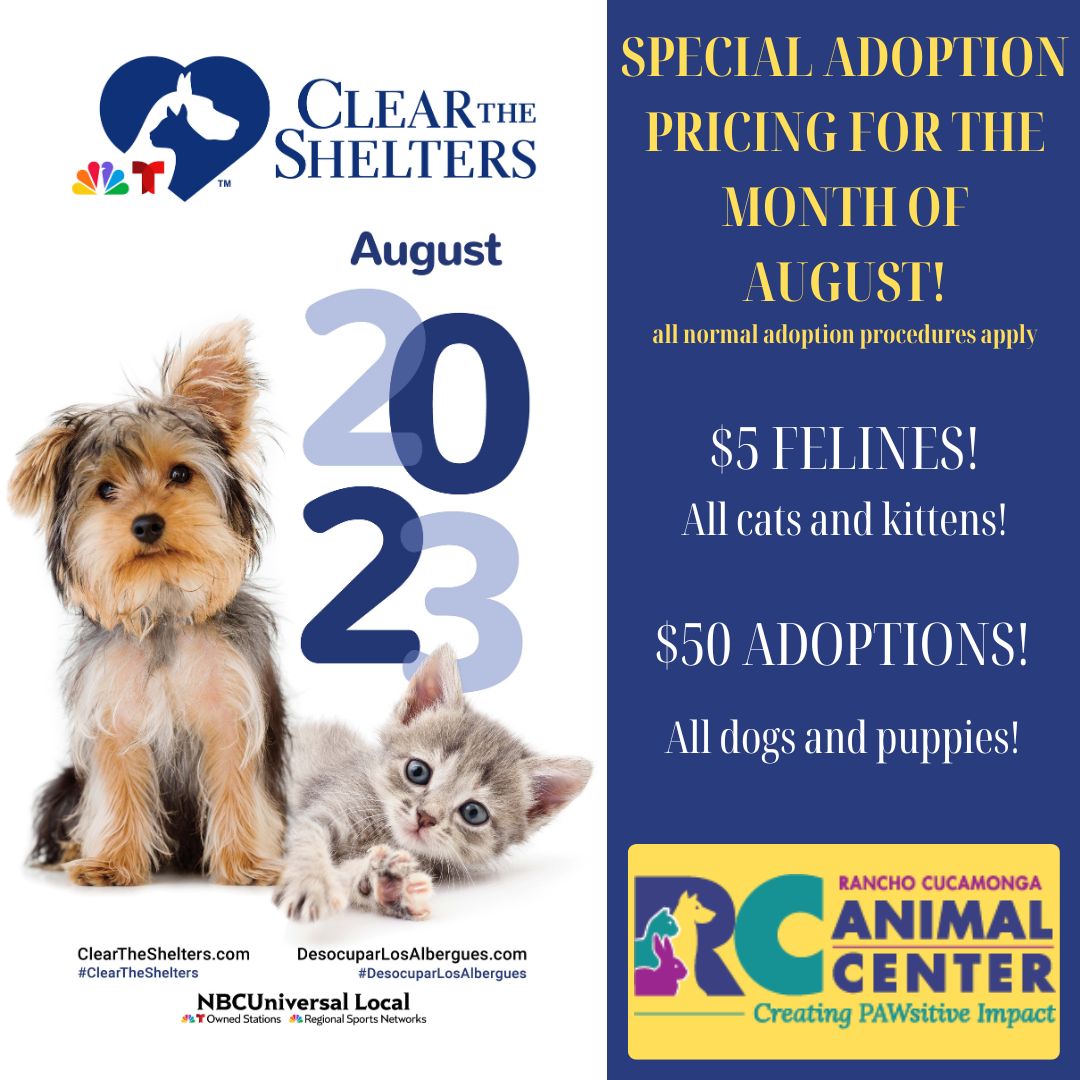 Adopt a Pet and Lost Pets City of Rancho Cucamonga